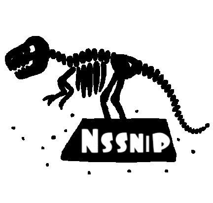 ?Nssnıp?_avatar
