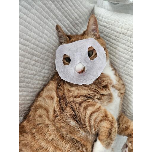 yongbok_2000_avatar