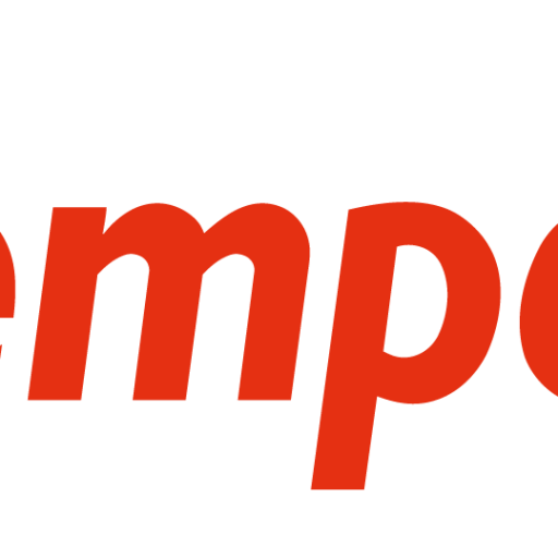 tempoteamnl_avatar